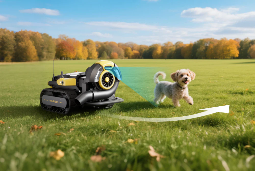 Lawn-cleanup lifestyle image