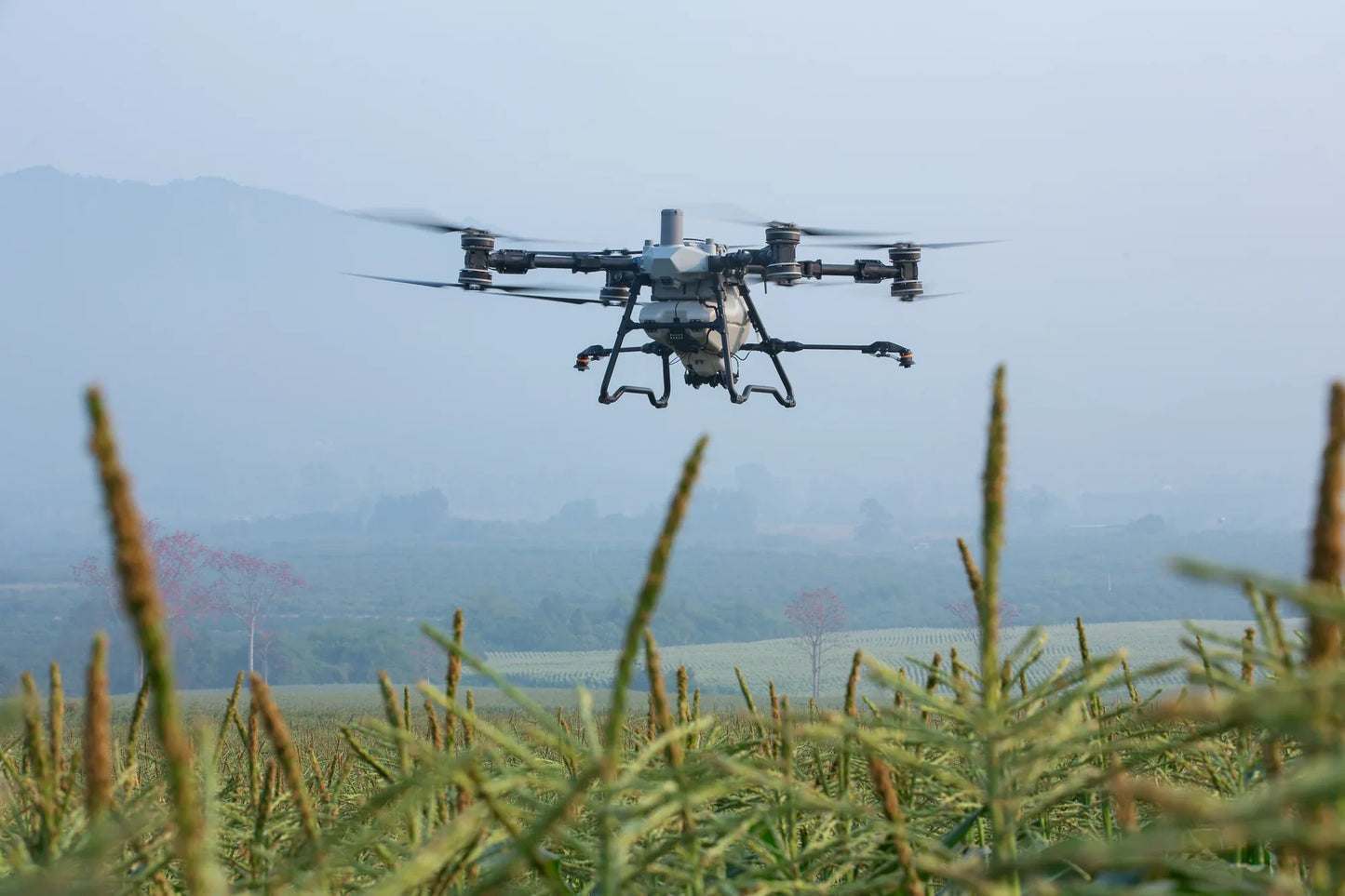 DJI Agras T100 Agriculture Spraying Drone - Ready to Fly Kit