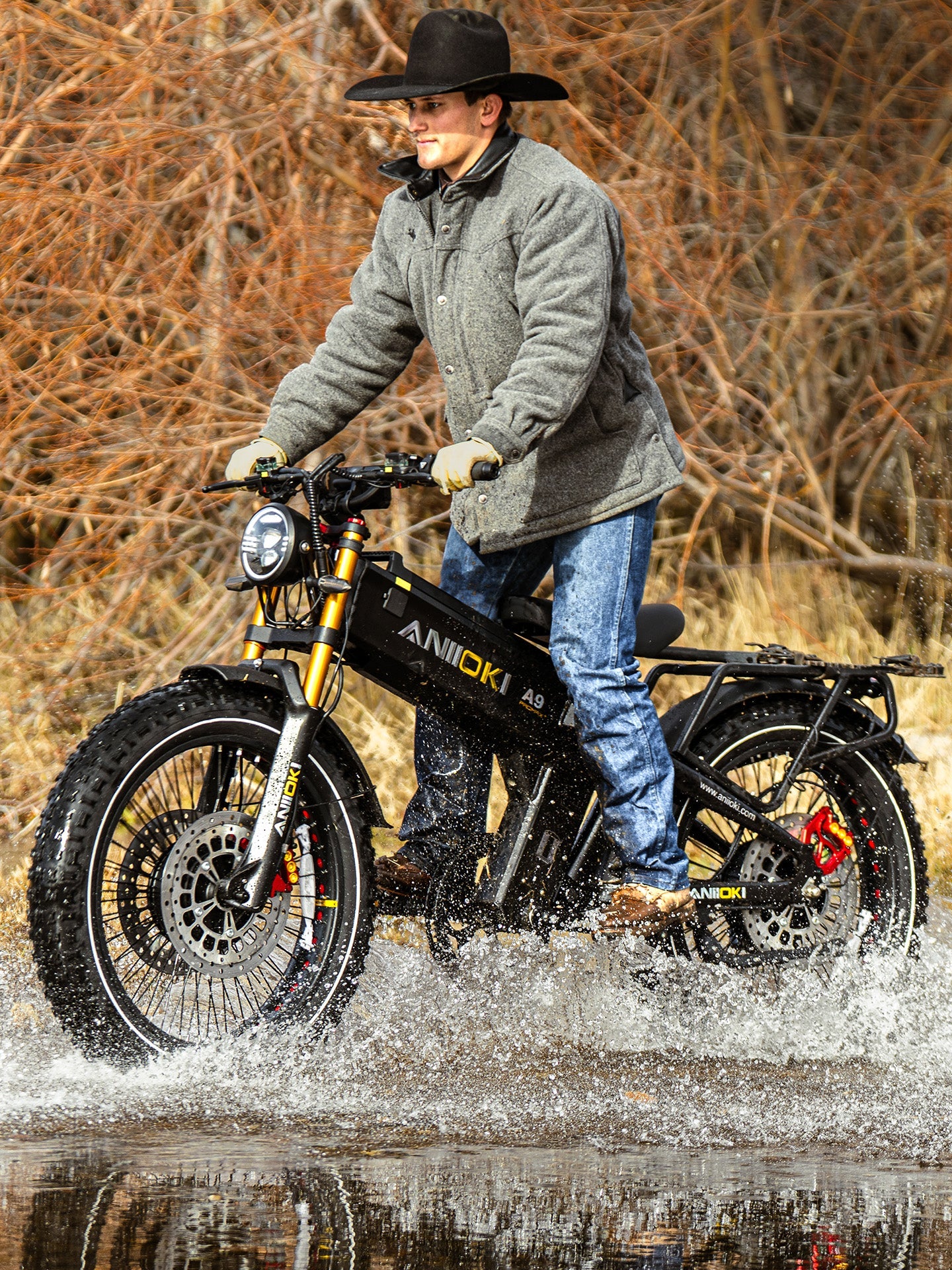 ANIIOKI A9 Pro Max 60V Dual Motor Ebike