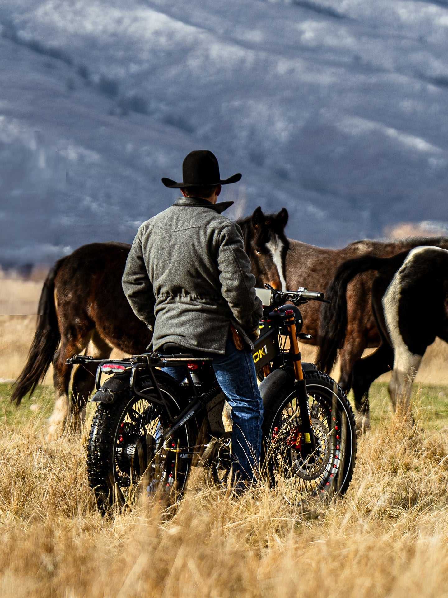 ANIIOKI A9 Pro Max 60V Dual Motor Ebike