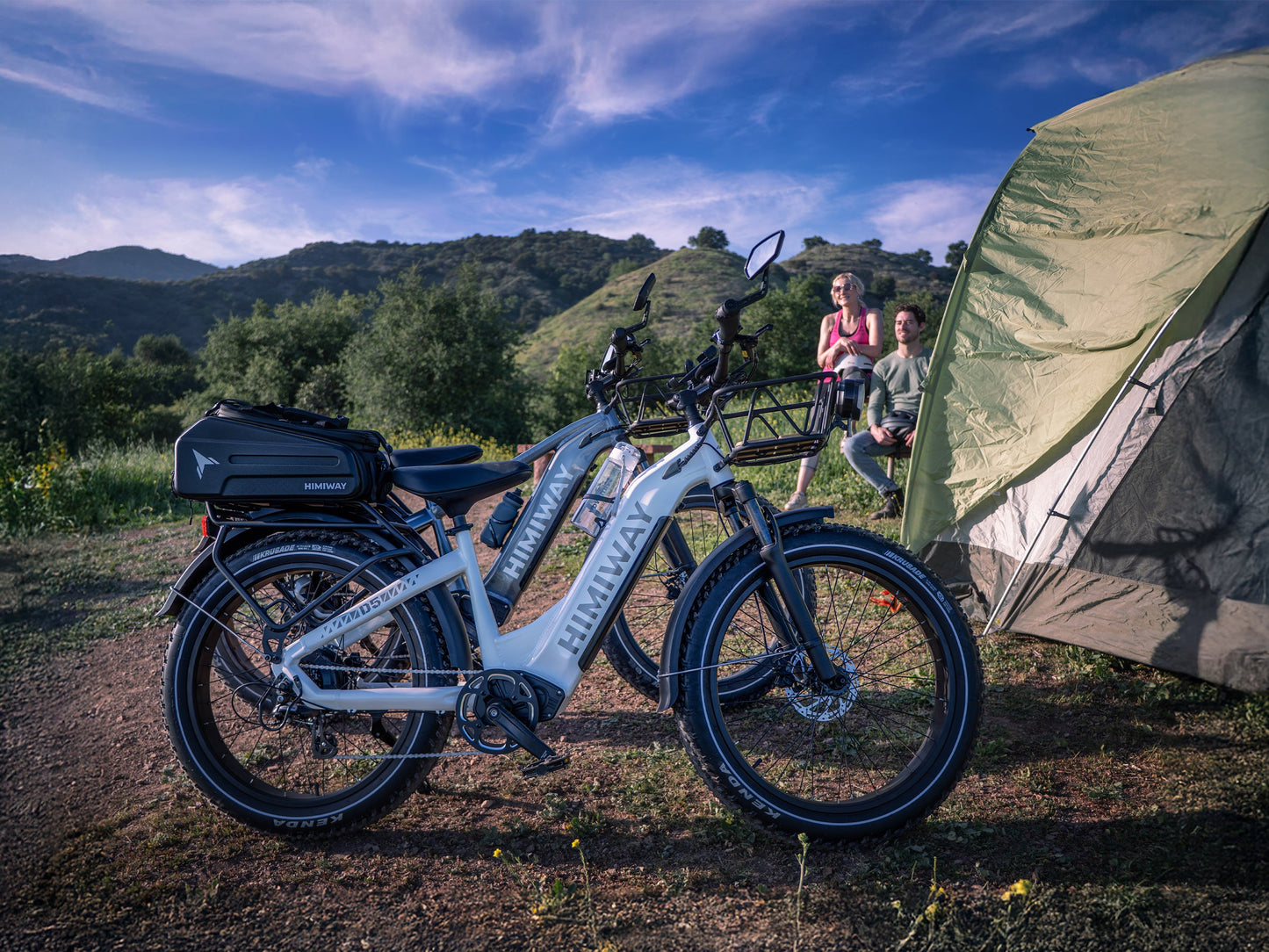 Himiway D5 Zebra Fat Tire Electric Bike - Built for All-Terrain Performance - Top Speed 20 MPH