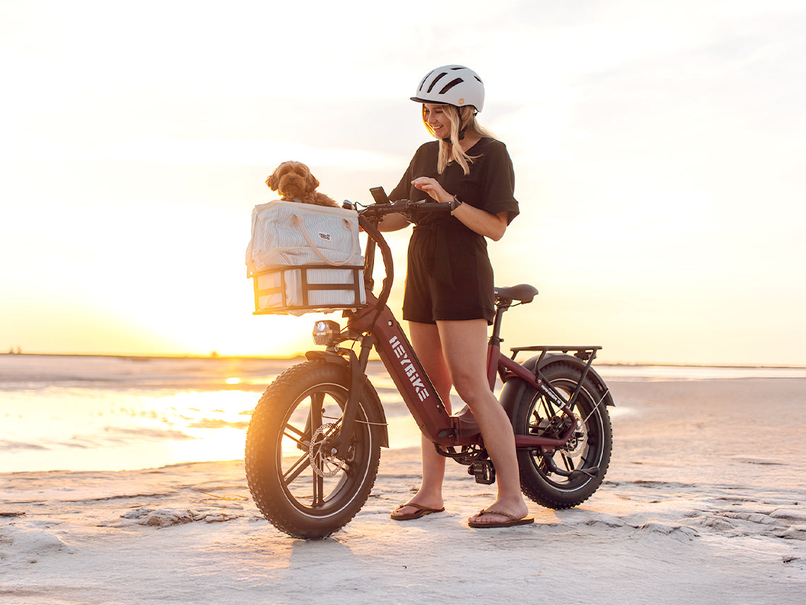 Heybike Ranger S Folding Electric Bike — 55 Mile Range, 28 MPH