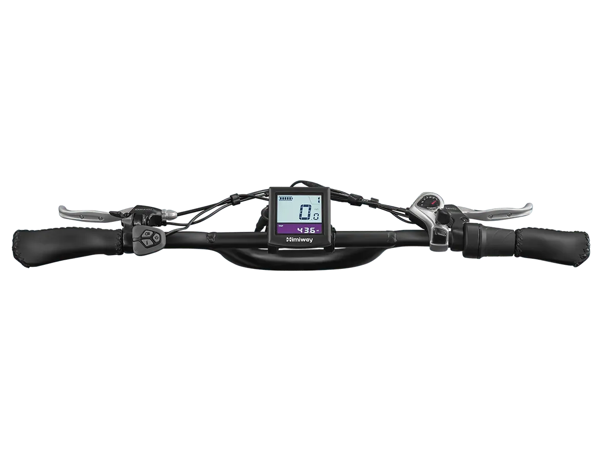 Escape Pro / Long Range Moped-Style E-Bike ST